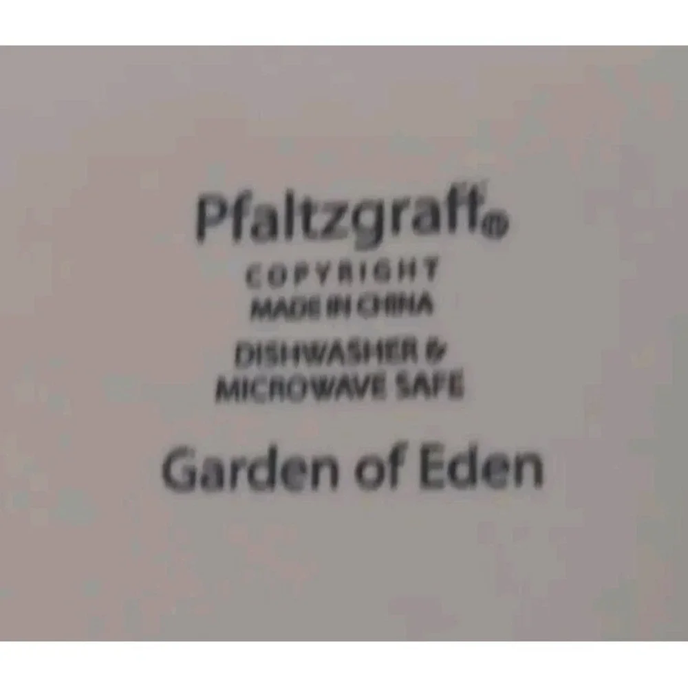 Pfaltzgraff Dinner Plate Garden Of Eden 11